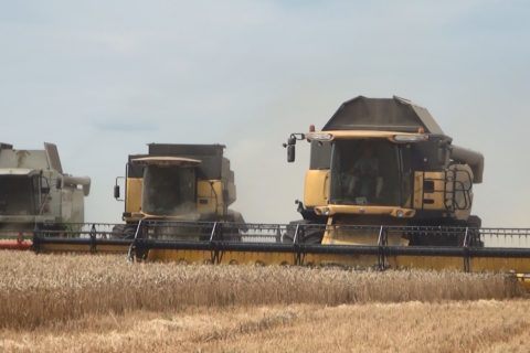 В Новоазовском районе состоялось награждение лучших работников ГП «Заря Агро» (видео)