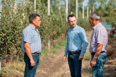 Генеральный директор ГК «Аграрный Донбасс» встретился с рабочим коллективом суперинтенсивного яблоневого сада