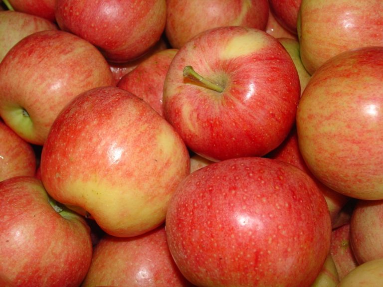 Филиал «Сады Донбасса» реализует оптом и в розницу яблоки из суперинтенсивного яблоневого сада