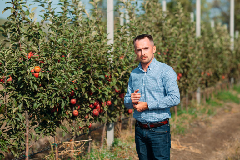 Генеральный директор ГК «Аграрный Донбасс» рассказал, как формируется цена на яблоки (аудио)