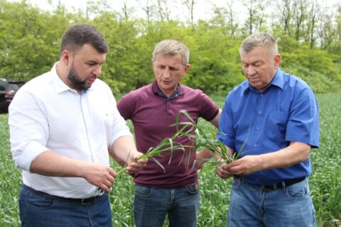 Глава Донецкой Народной Республики Денис Пушилин с рабочей поездкой посетил сельскохозяйственные угодья ГП «Заря Агро»