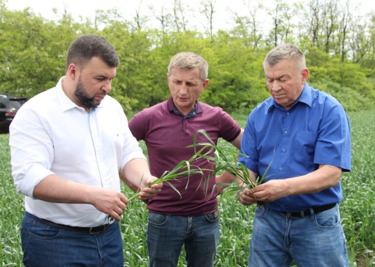 Глава Донецкой Народной Республики Денис Пушилин с рабочей поездкой посетил сельскохозяйственные угодья ГП «Заря Агро»