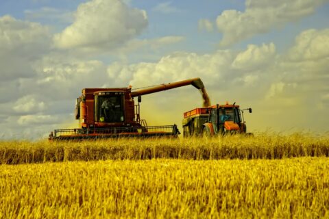 Подразделение ГК «Аграрный Донбасс» завершило уборку ранних зерновых культур
